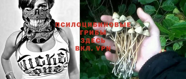 тгк Сатка