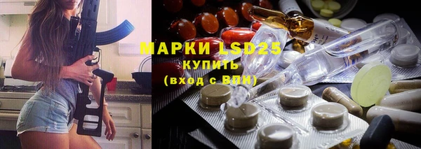 винт Алзамай