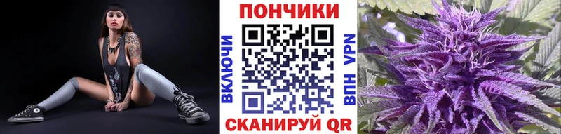 Бошки марихуана марихуана  дарк нет Telegram  Буй  blacksprut ТОР 